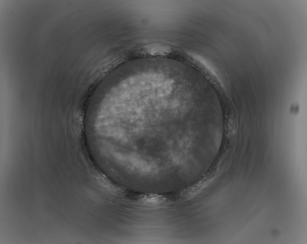 X0000094440321200712061144