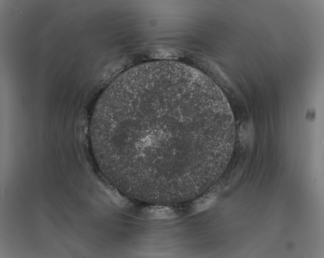 X0000094440322200712061144