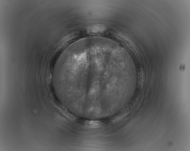 X0000094440324200712061144