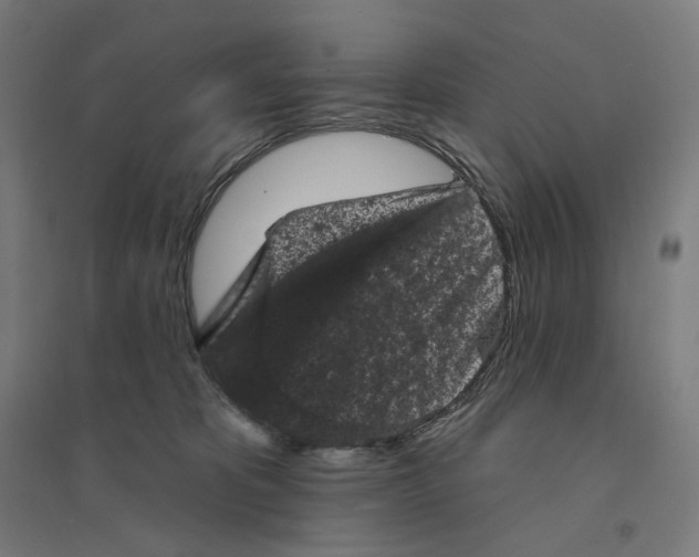 X0000094440325200712061144