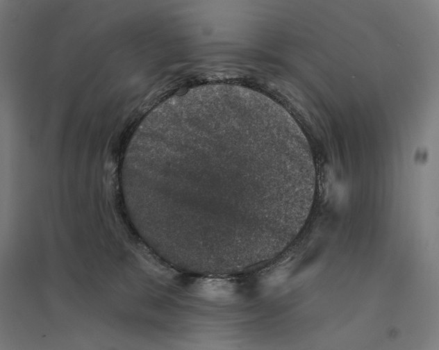 X0000094440327200712061144