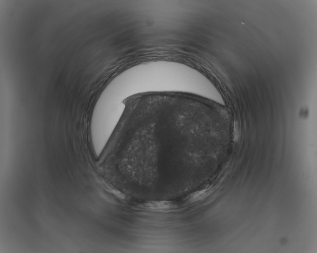 X0000094440328200712061144