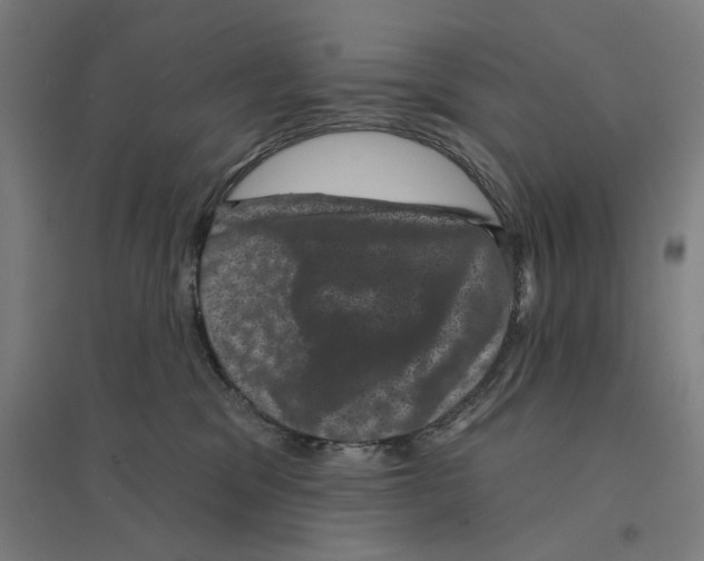 X0000094440329200712061144