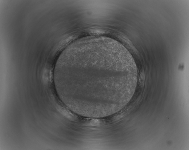 X0000094440330200712061144