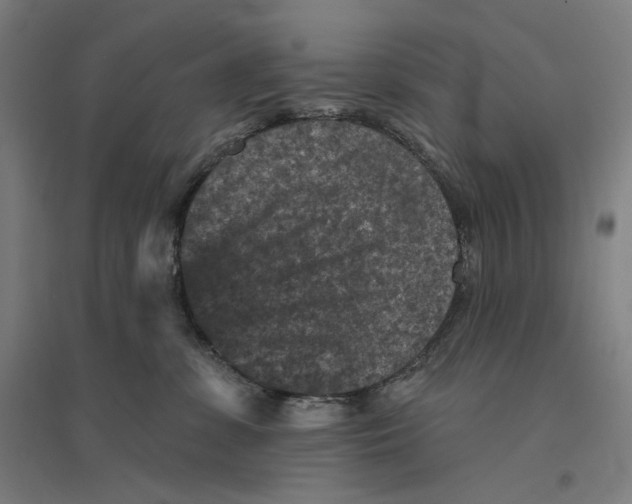 X0000094440331200712061144