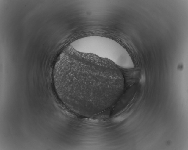 X0000094440332200712061144