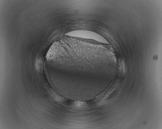 X0000094440333200712061144