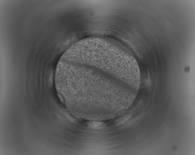 X0000094440334200712061144