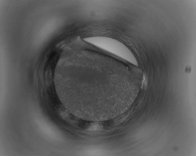 X0000094440335200712061144