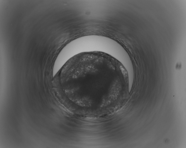 X0000094440336200712061144