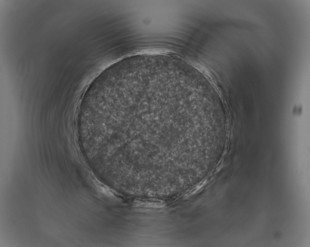 X0000094440337200712061143