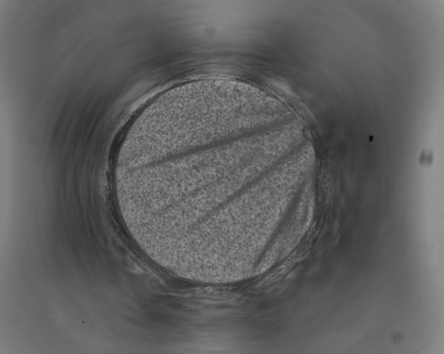 X0000094440338200712061143