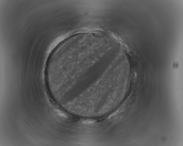 X0000094440340200712061143