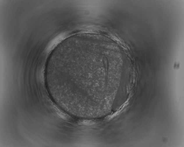 X0000094440341200712061143