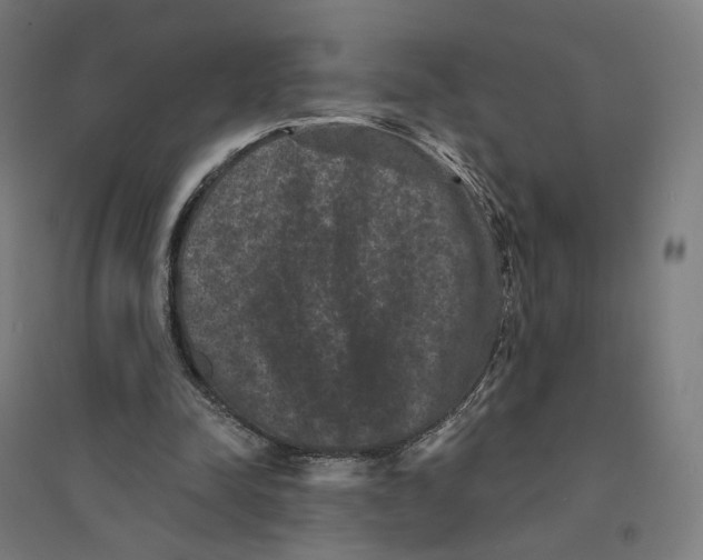 X0000094440342200712061143