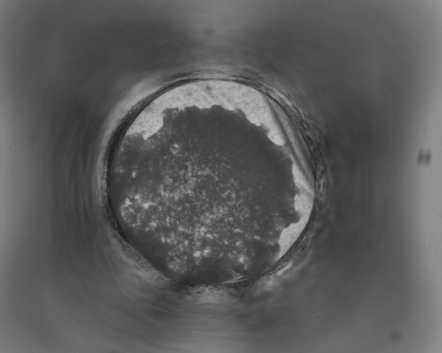 X0000094440343200712061143