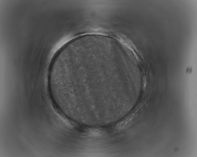 X0000094440344200712061143