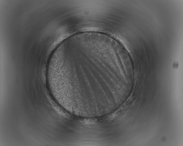 X0000094440345200712061143