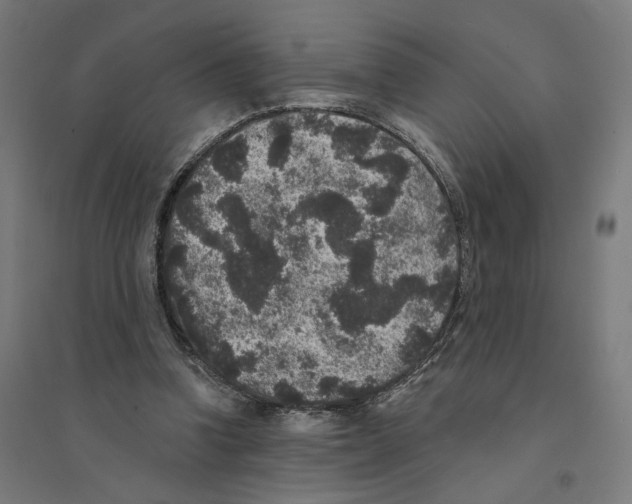 X0000094440346200712061143