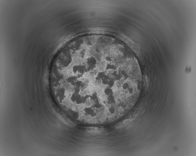 X0000094440347200712061143