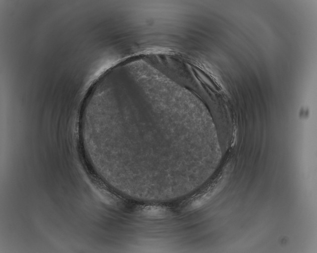 X0000094440348200712061143