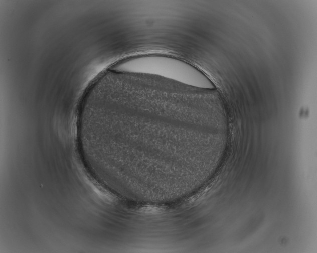 X0000094440350200712061143