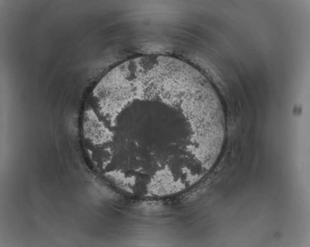 X0000094440353200712061143