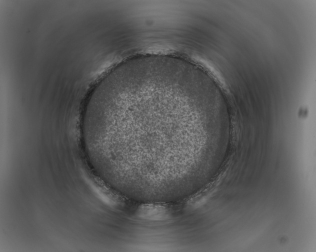 X0000094440354200712061143