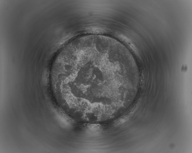 X0000094440355200712061143