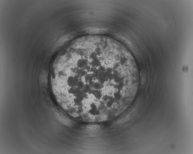 X0000094440357200712061143