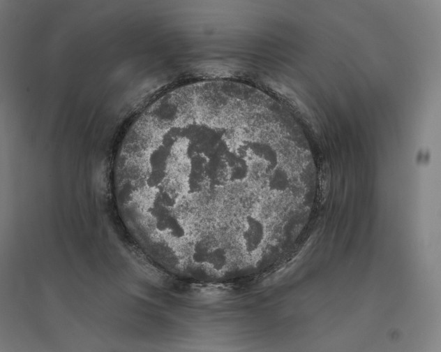 X0000094440359200712061143