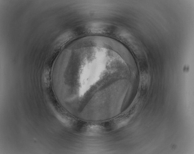 X0000094440360200712061143