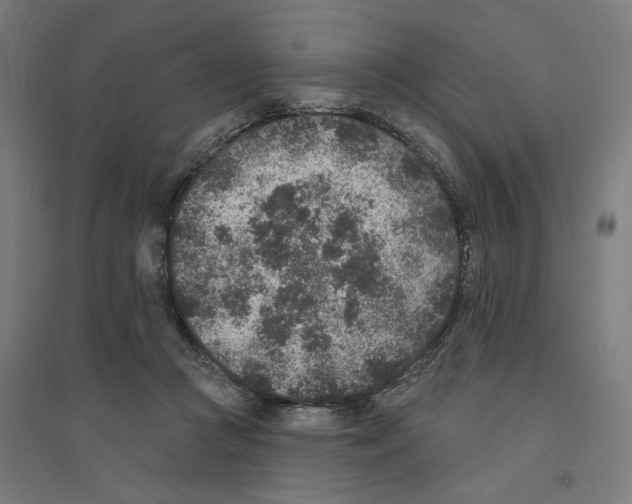 X0000094440361200712061143