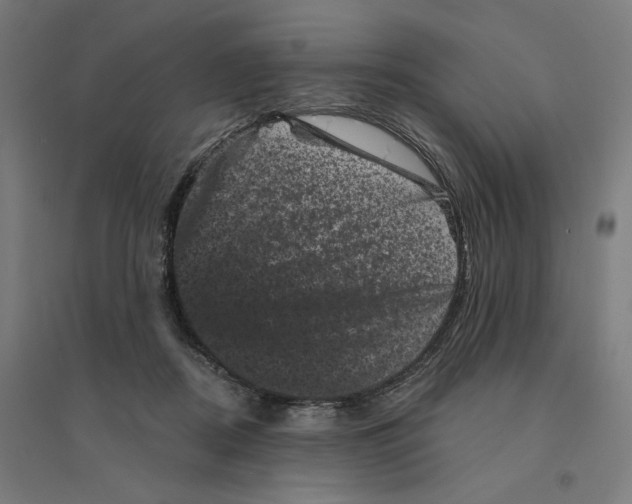 X0000094440362200712061143