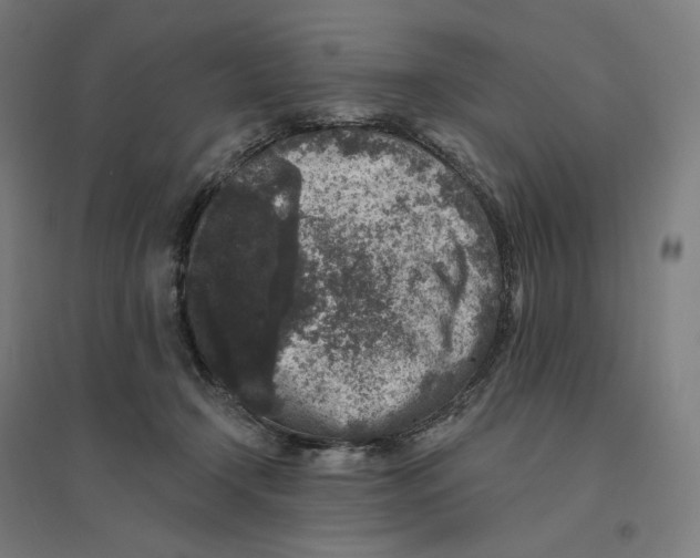 X0000094440366200712061143