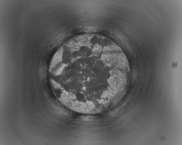 X0000094440367200712061143