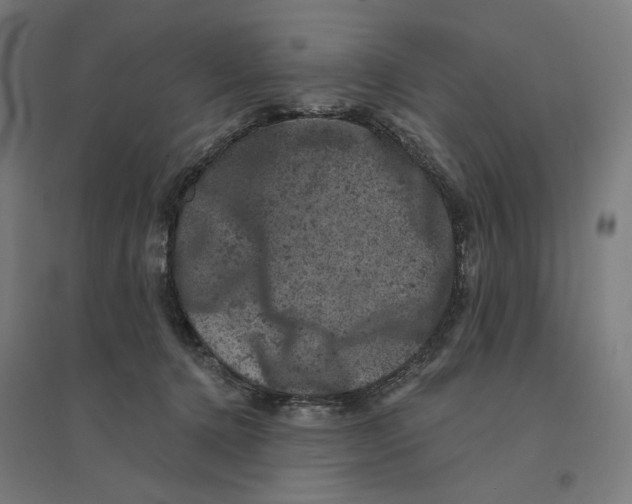 X0000094440368200712061143