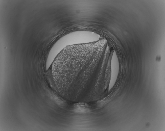 X0000094440372200712061143