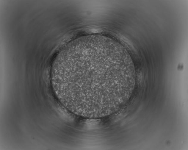 X0000094440373200712061144