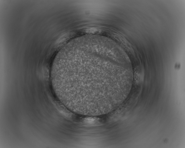 X0000094440375200712061144