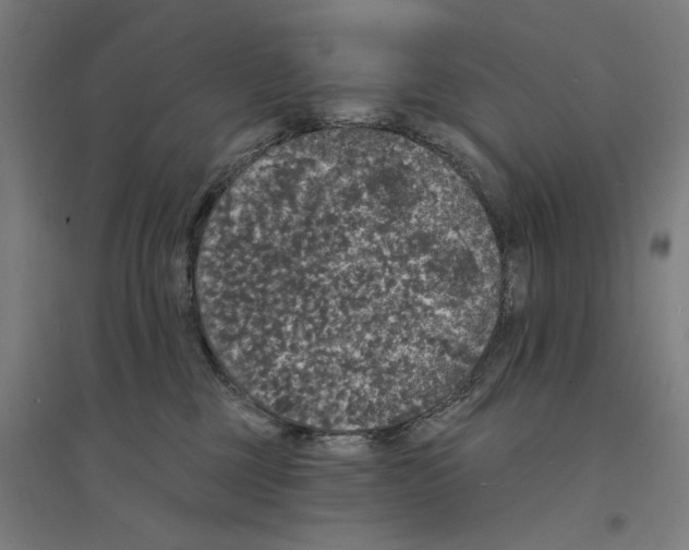 X0000094440377200712061144