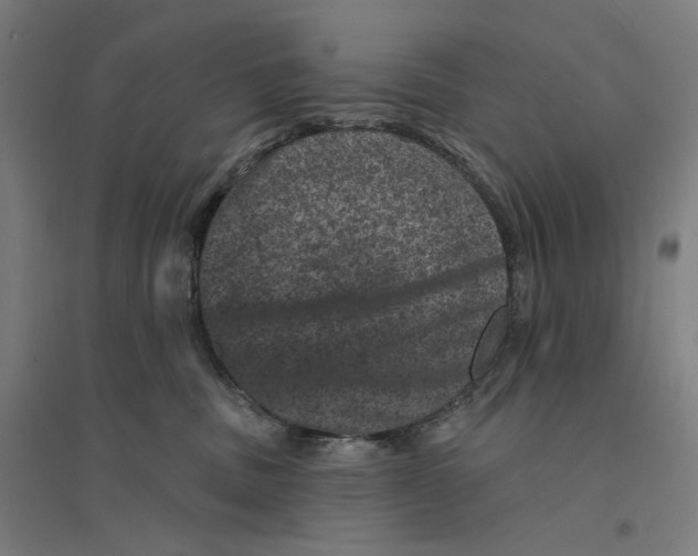 X0000094440379200712061144