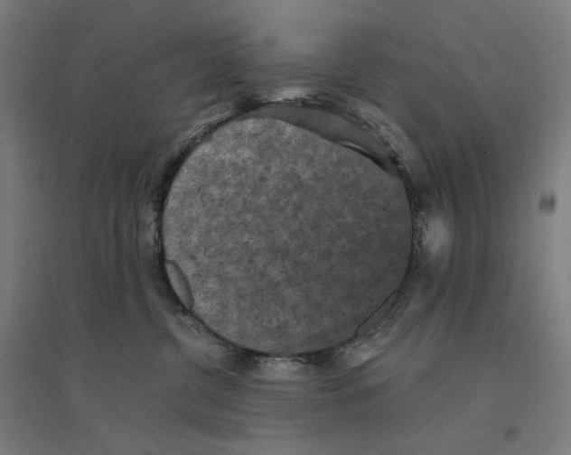 X0000094440380200712061144