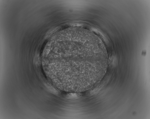 X0000094440381200712061144