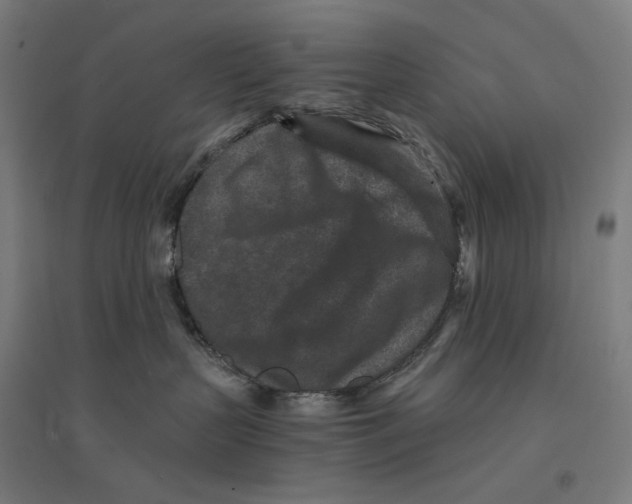 X0000094440383200712061144