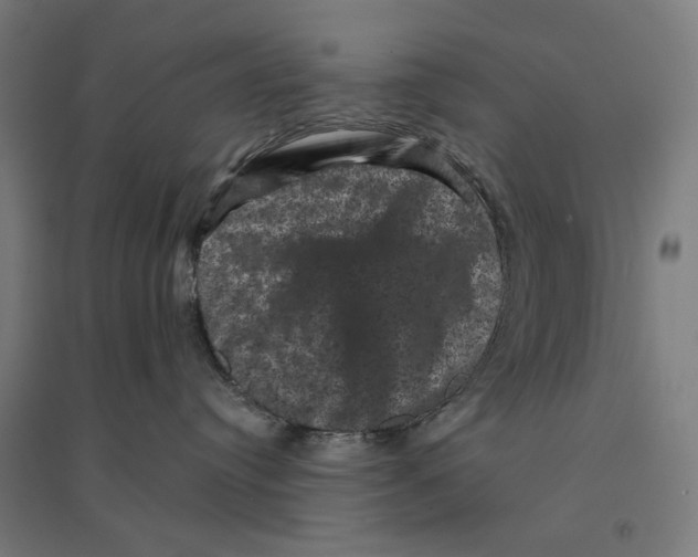 X0000094440384200712061144