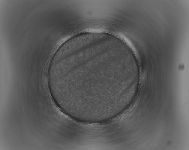 X0000094440385200712061143