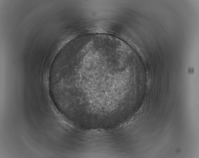 X0000094440386200712061143