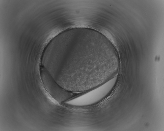 X0000094440389200712061143