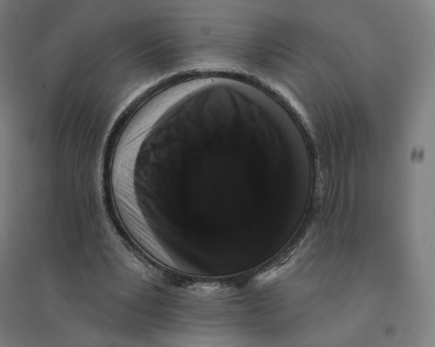 X0000094440391200712061143